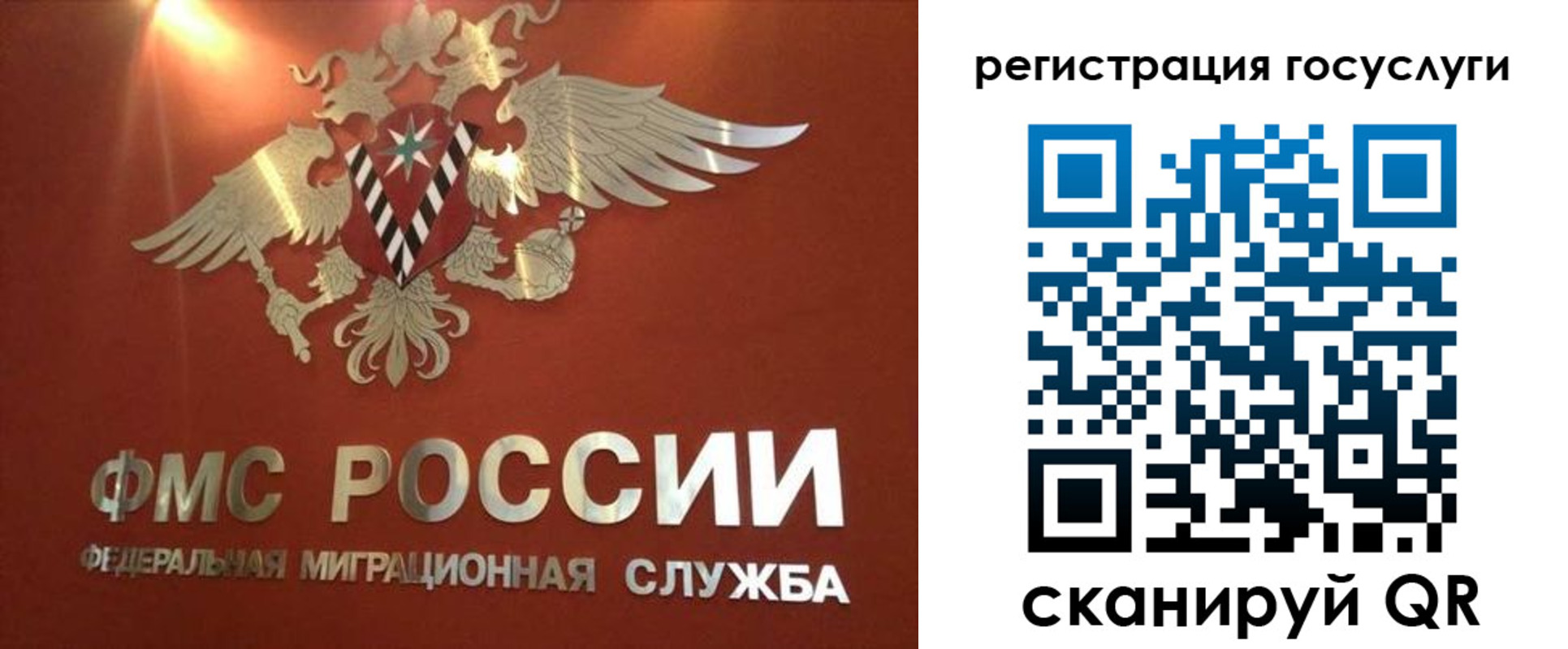 прописка ребенка в Ногинске